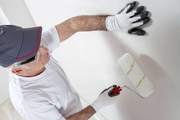 Best Black Mold Removal  in Oak Trail Shores, TX