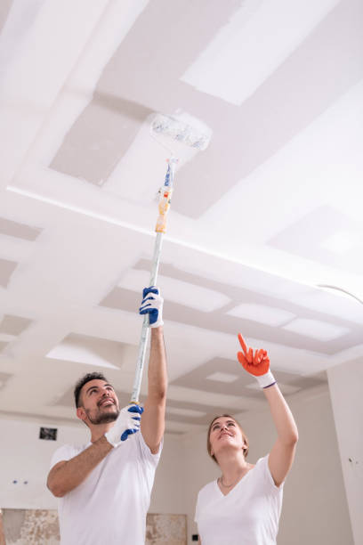 Professional Mold Removal in Oak Trail Shores, TX