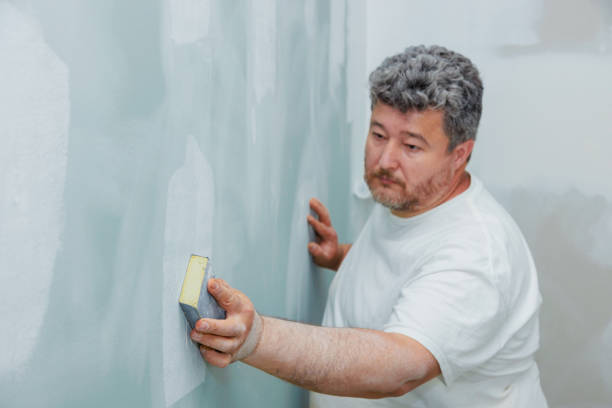 Best Mold Damage Restoration  in Oak Trail Shores, TX