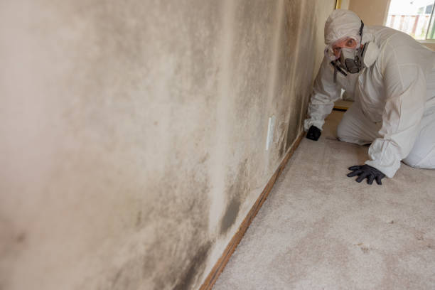 Best Air Quality Testing for Mold Spores  in Oak Trail Shores, TX